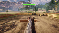 Animal Shelter - Horse Shelter DLC screenshot 8