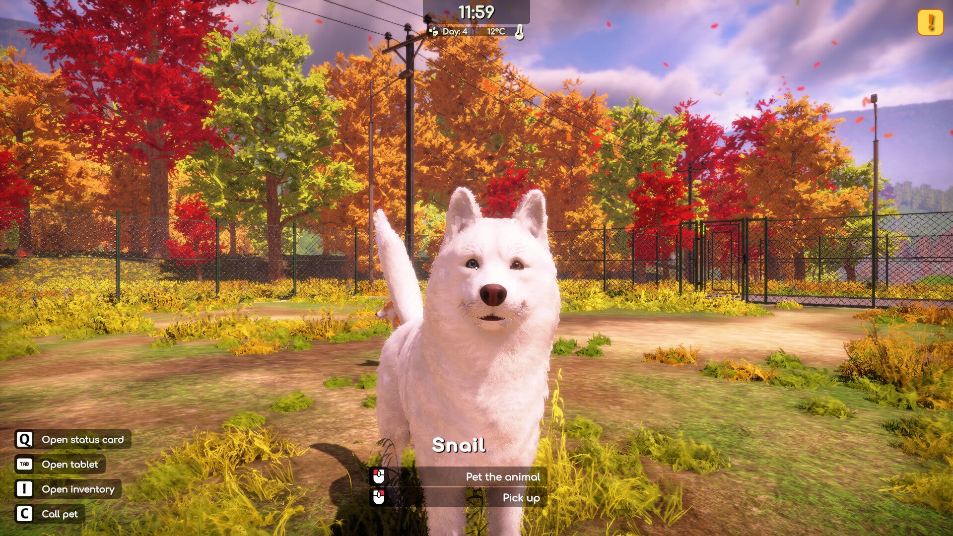 Animal Shelter 2 screenshot 12