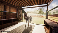Animal Shelter - Horse Shelter DLC screenshot 5