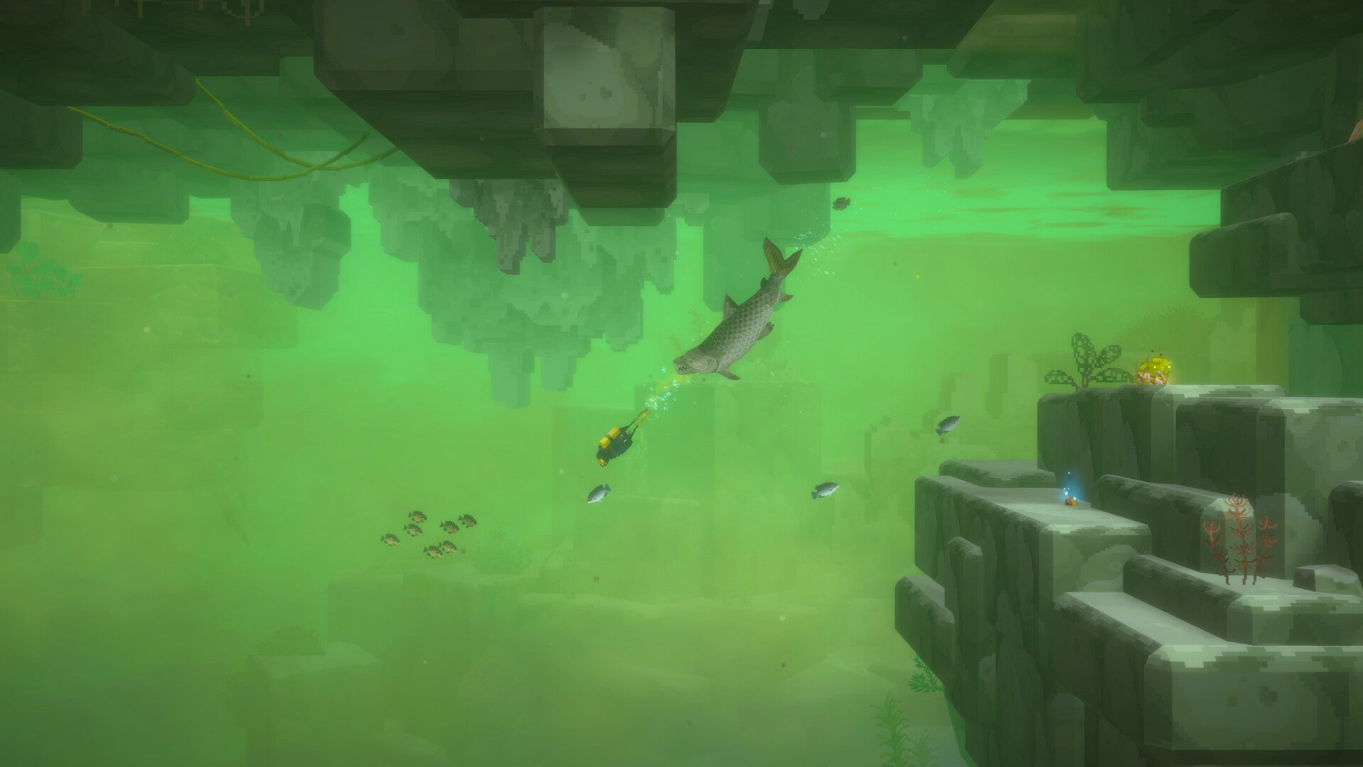 DAVE THE DIVER - In the Jungle Content Pack screenshot 6