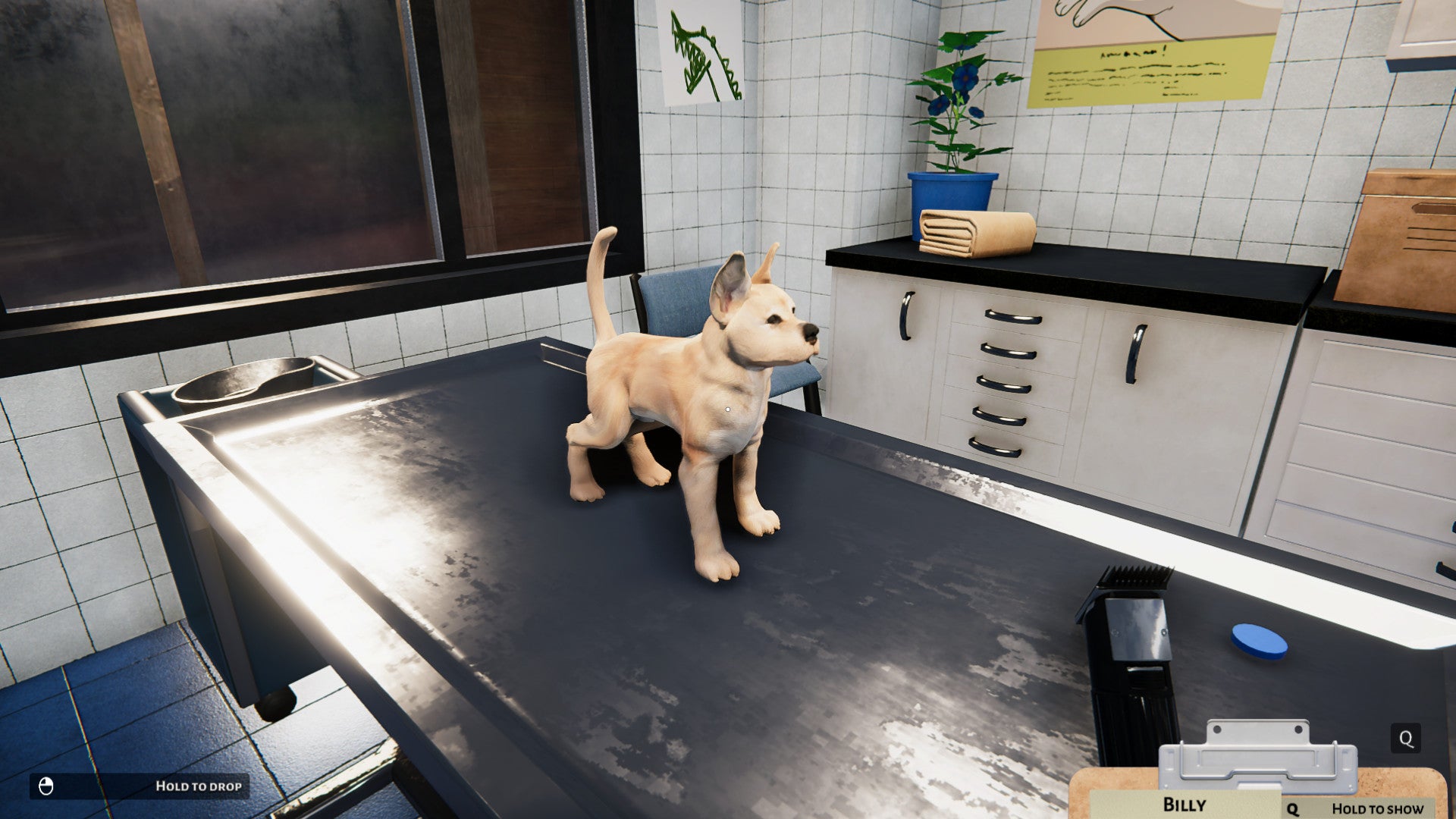 Animal Shelter - Puppies & Kittens DLC screenshot 9