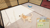 Animal Shelter - Puppies & Kittens DLC screenshot 6