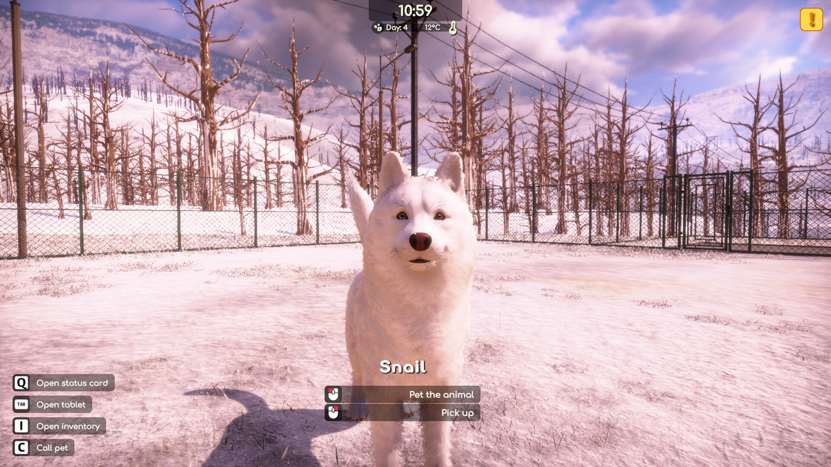 Animal Shelter 2 screenshot 16