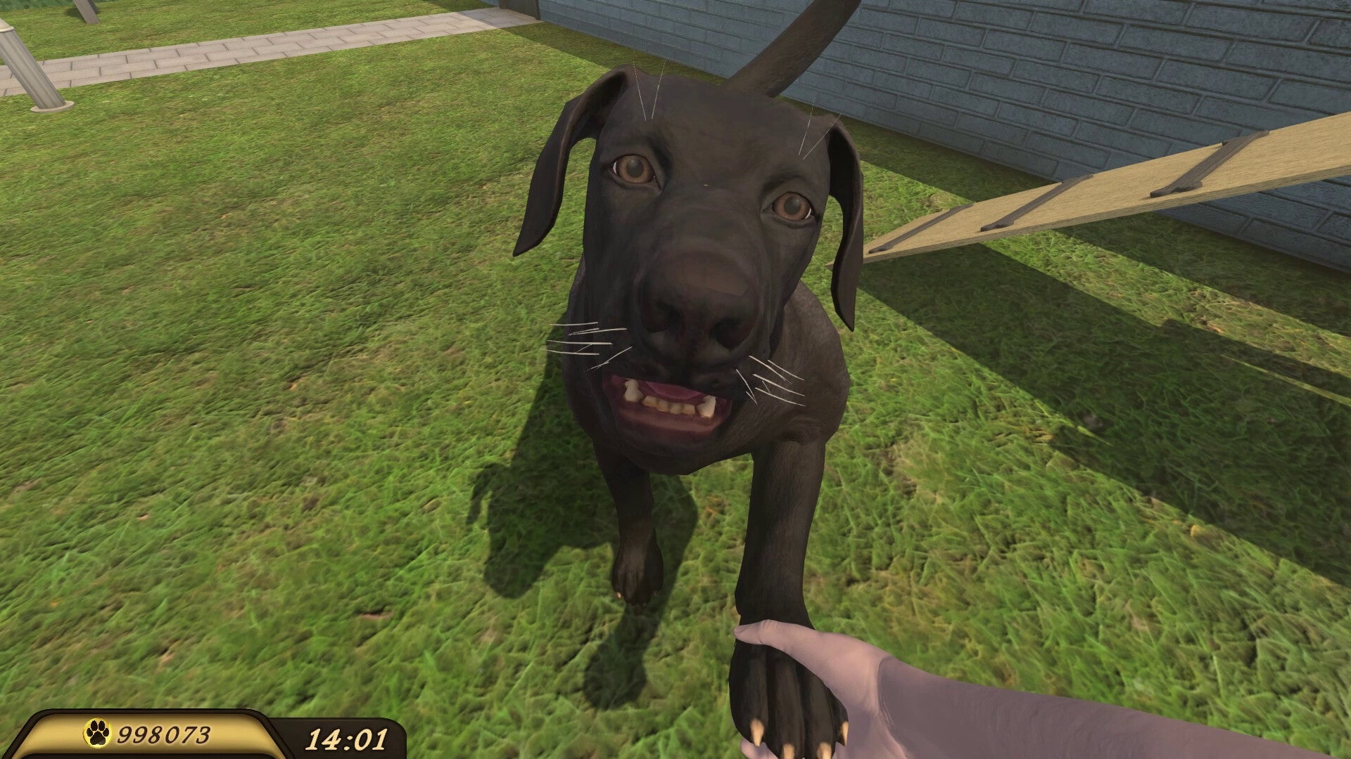 Pets Hotel screenshot 21