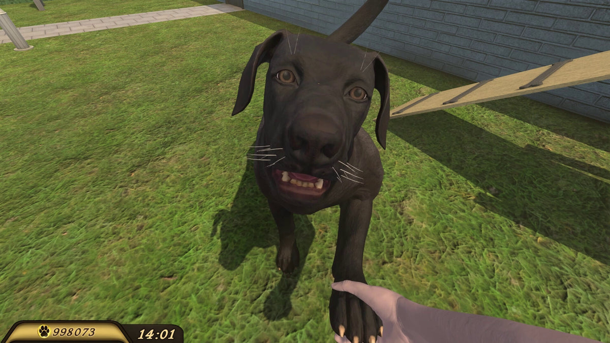 Pets Hotel screenshot 21