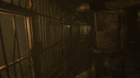 Wounded - The Beginning