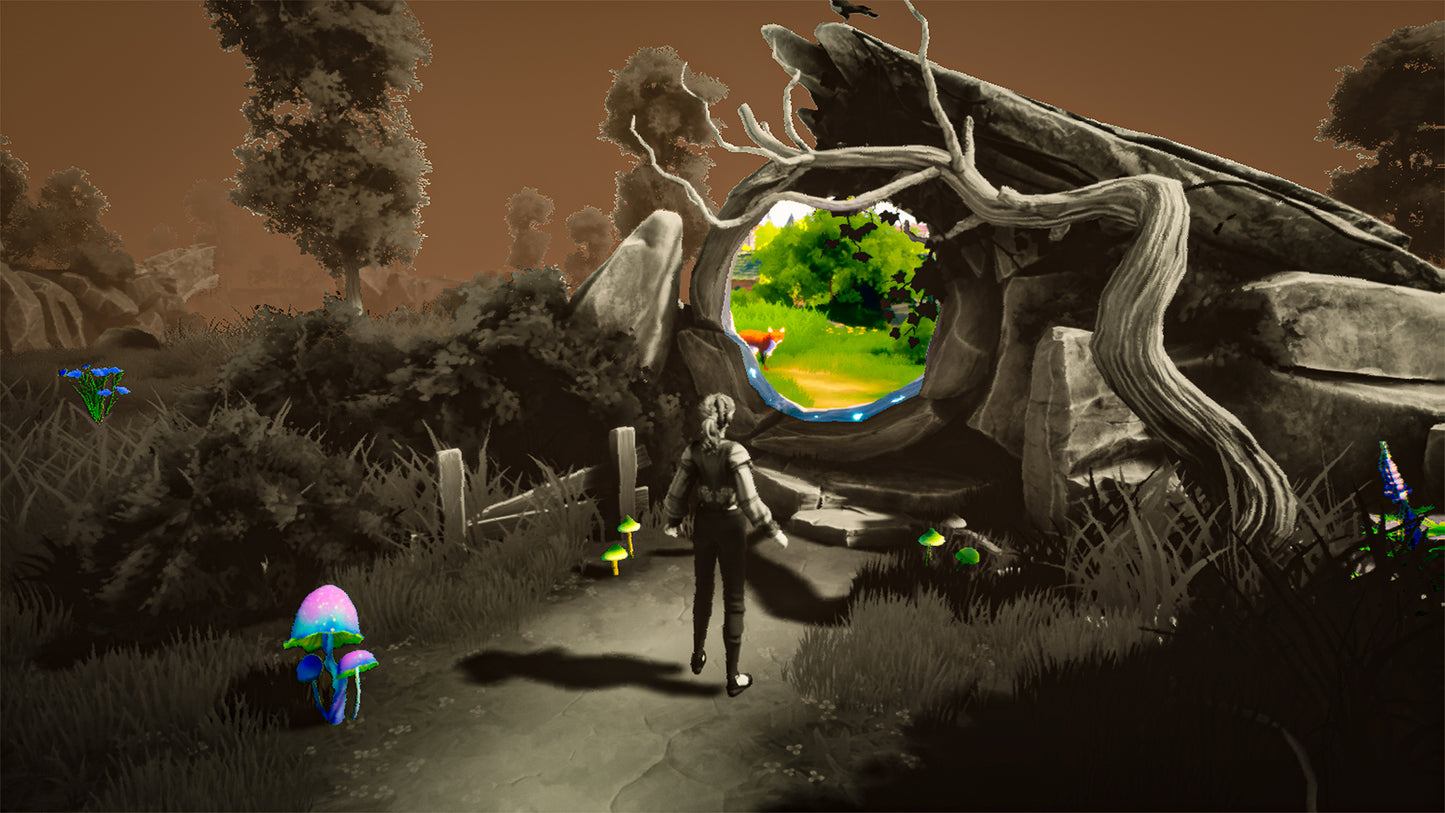 The Witch of Fern Island