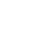Windows Icon